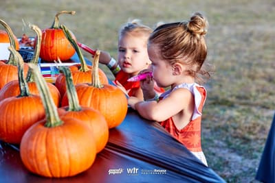 Two toddlers decorating small pumpkins with markers at a table on the lawn, Pied Piper's Haunted Carnival 2023